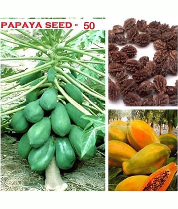 homeagro - Papaya Fruit Seeds (Pack of 40)