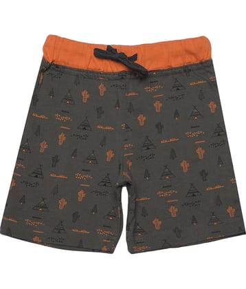 Dollar Champion Kidswear Pack of 1 Cotton Shorts For Boys ( Multicolor )