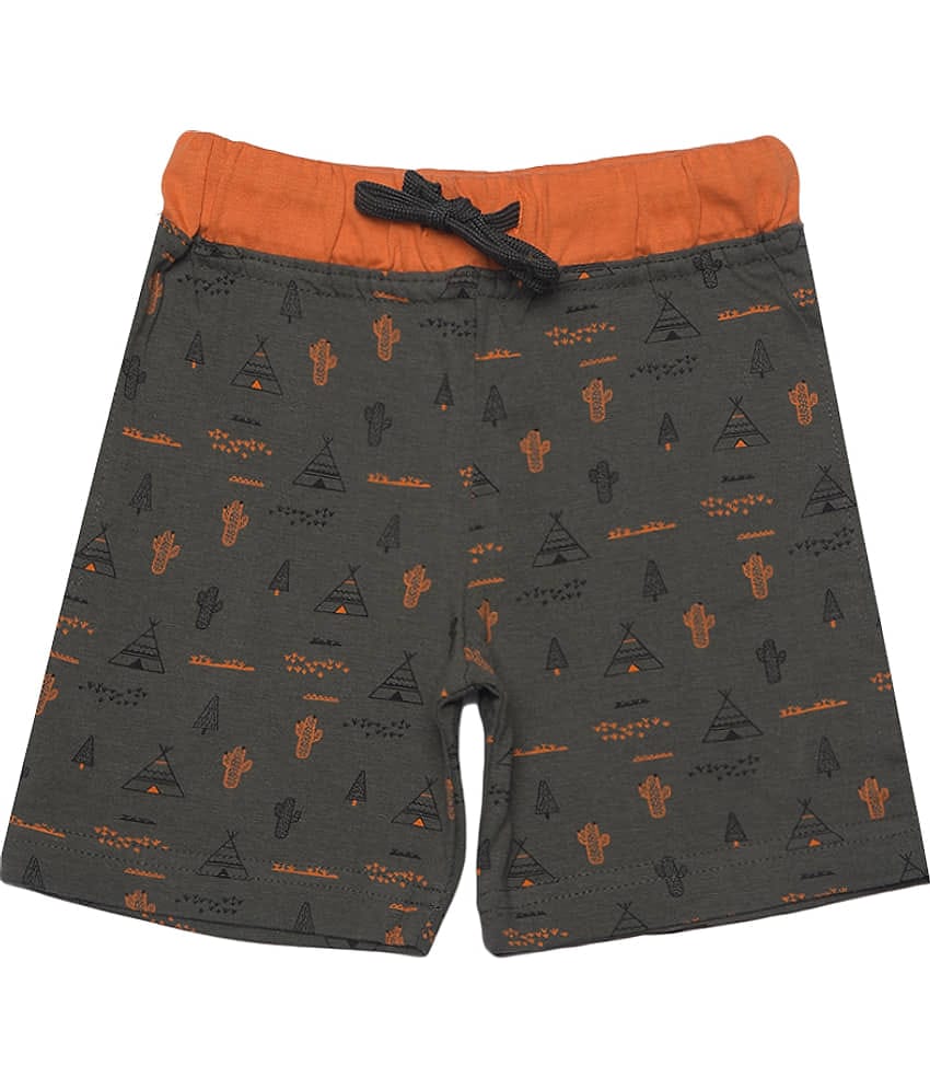 Dollar Champion Kidswear Pack of 1 Cotton Shorts For Boys ( Multicolor )