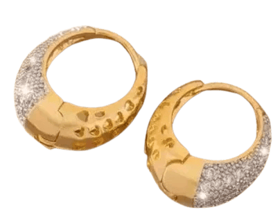 Elegant Gold Hoop Earrings for Women