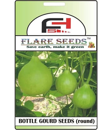 Round Bottle Gourd Seeds - 20 Seeds Pack