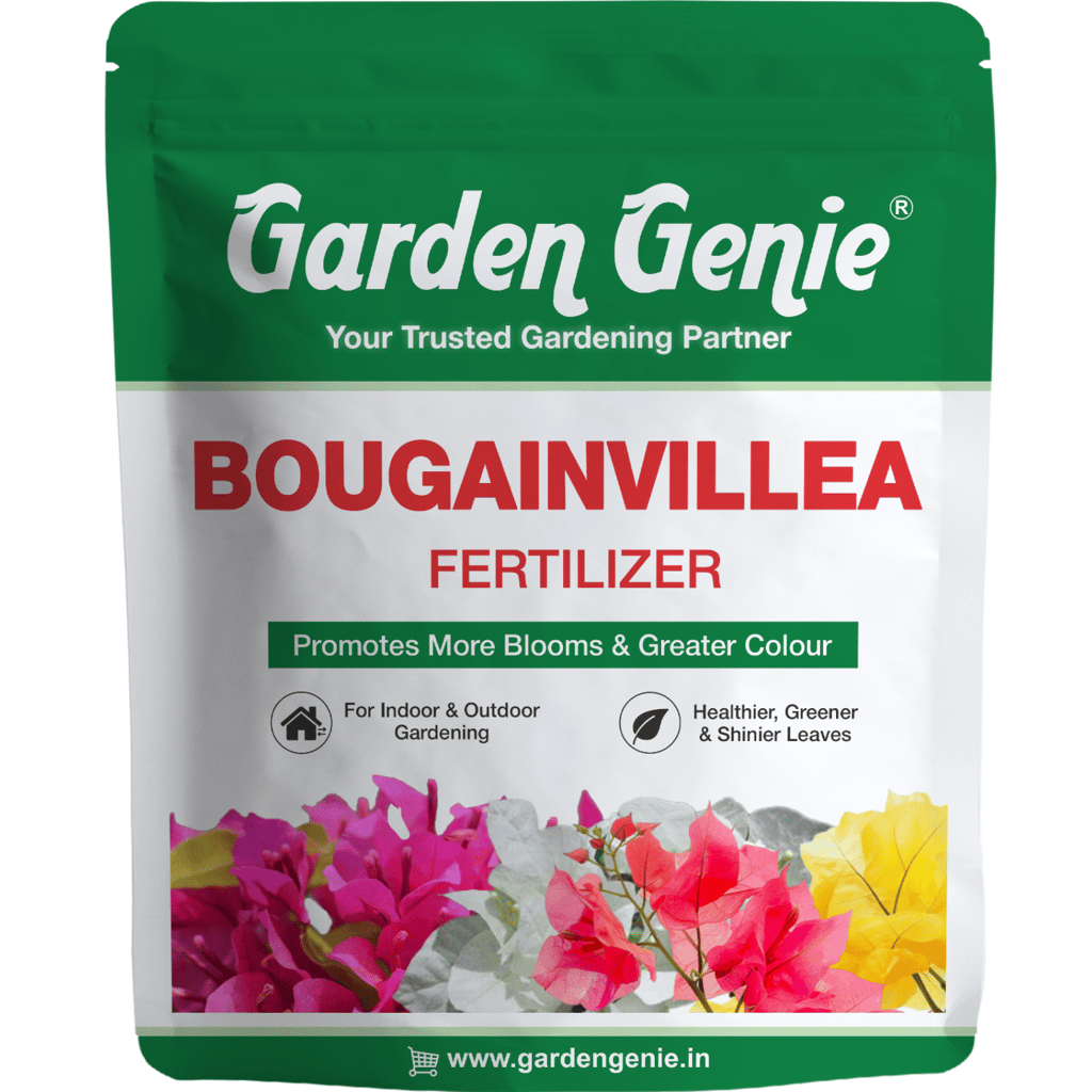 Garden Genie Bougainvillea Plant Fertilizer 830g | Organic Bloom Booster Fertilizer for Overall Growth of Bougainvillea Flowers in Home Garden, Powder