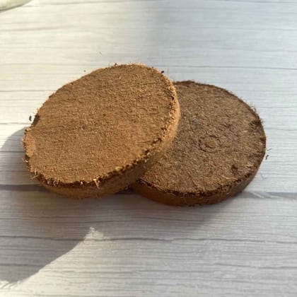 Cocopeat Disc | Coir disc for Potting Soil Mix