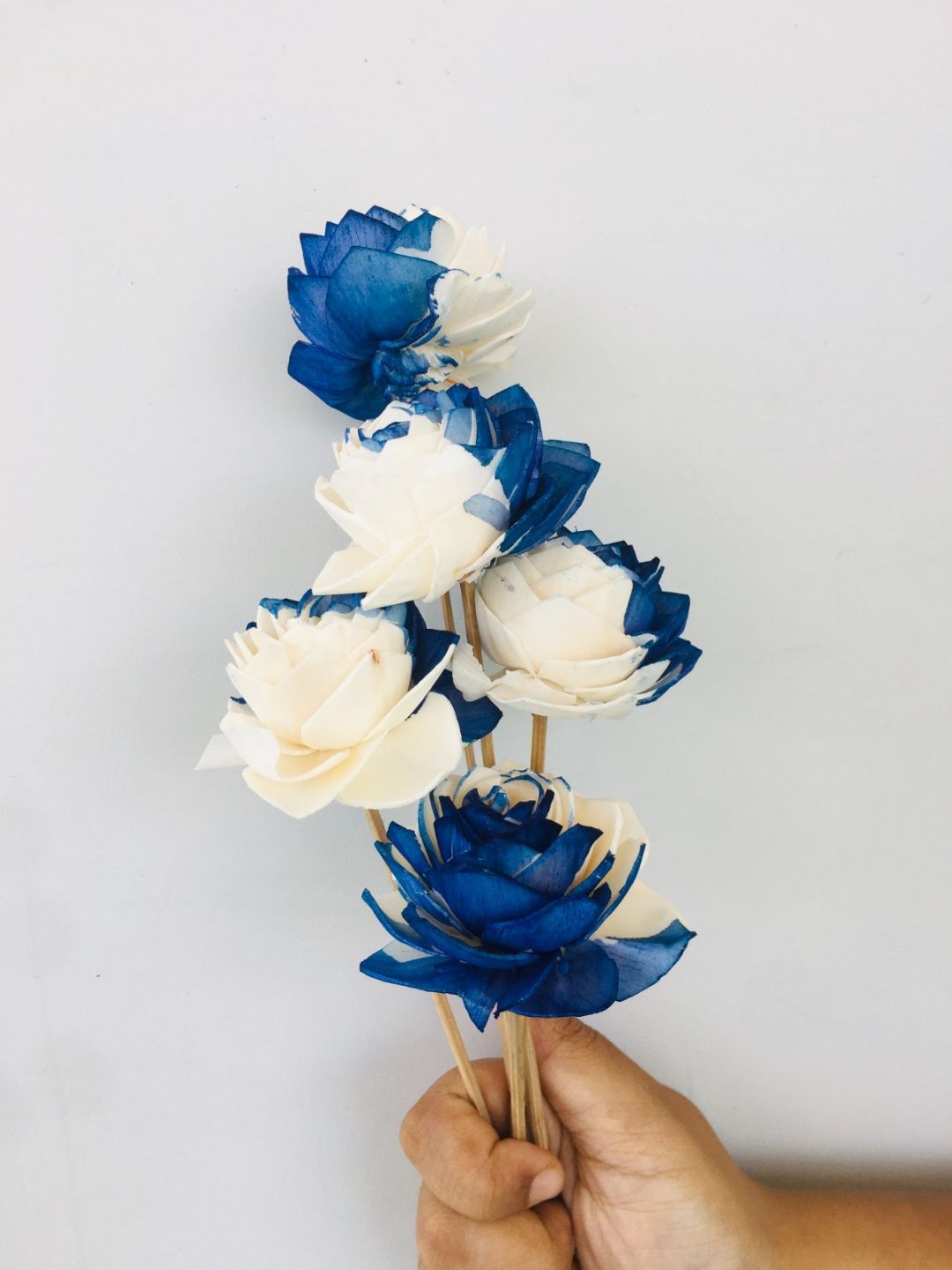 Midnight Blue Sola Flower (5pcs)