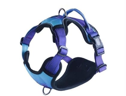 BlingPets Oxford Fabric Harness| No Pull Dog with 2 Leash Clips|High Reflective for Safe Walks| Adjustable Soft Padded Dog Vest| Easy Control Handle|Strong & Durable Straps|Gradual Blue, Large