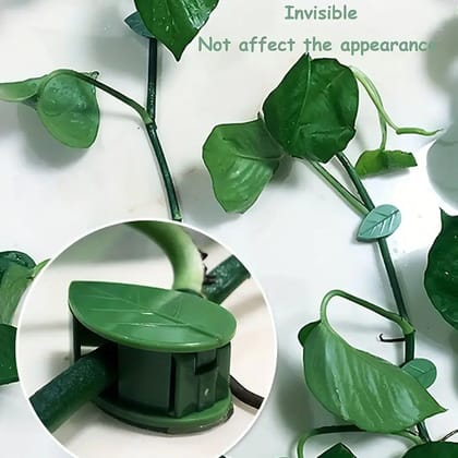 Plant Climbing Wall Clip, Self-Adhesive Vines Support Hooks for Indoor Outdoor Use (10 Pcs Set)