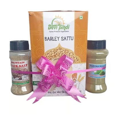 Combo Pack | Pudina Powder | Barley Sattu | Mountain Black Salt - 700 gm - 700 gm - One box of Barley Sattu, one bottle of Black Salt, one bottle of Pudina Powder