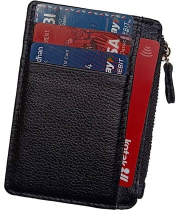 Wingers - Leather Unisex Card Holder ( Pack of 1 )