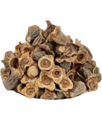 Nutrixia Food Bay Khumba - Careya Arborea-Vakumbha-Kumbhi-Baikhumba&nbsp; 980 gm