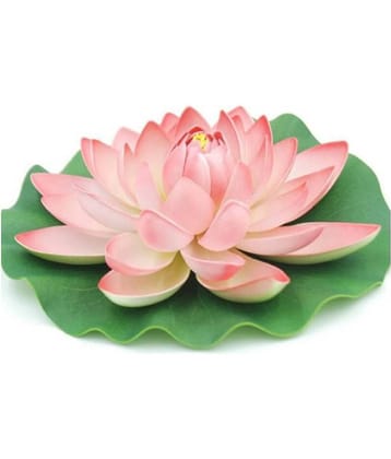 Green plant indoor Lotus Multicolour Floating Flowers - Pack of 1