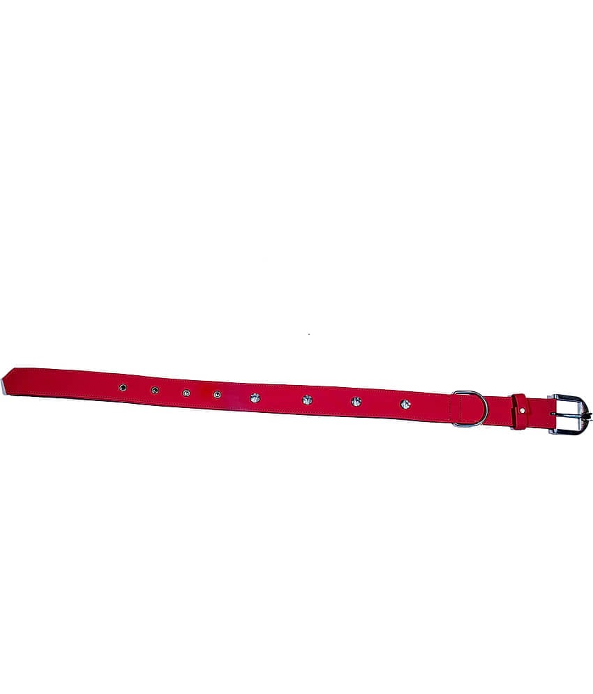 Tame Love - Red Dog Collar (Small)