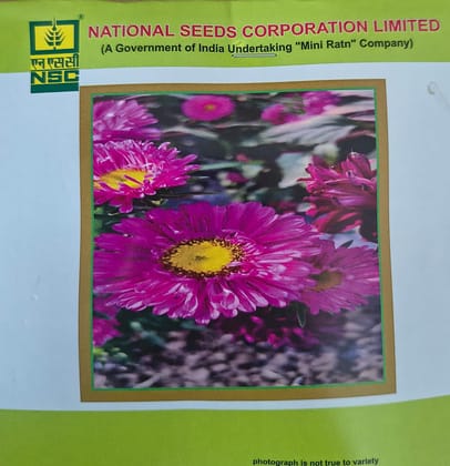 NSC Zinnia Mix flower seed- 1 gram