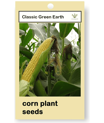 CLASSIC GREEN EARTH - Vegetable Seeds ( 50 )