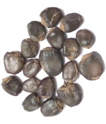 VINARGHYA Bhilawa / Bhilawan / Bibba / Compal/ Kalakam/ Kavaka / Bhallatamu 100 gm