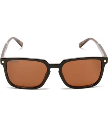 Roadies - Brown Rectangular Sunglasses ( Pack of 1 )