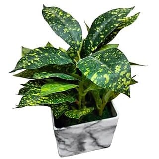 De Gardenia Hand Made Artificial Table Plant with Pot 24 cm Tall Bonsai for Home and Office Decor. (1 Handmade2)