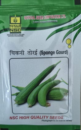 NSC Hy. Sponge gourd/Kashi  Rakshita Seed, 10gm