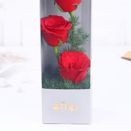 Red Rose Radiance For Valentine's Day Gift