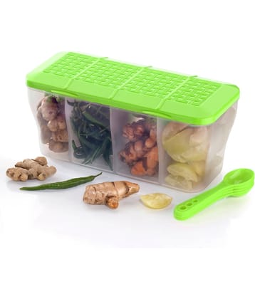 OFFYX - Vegetable Container PET Green Spice Container ( Set of 1 )