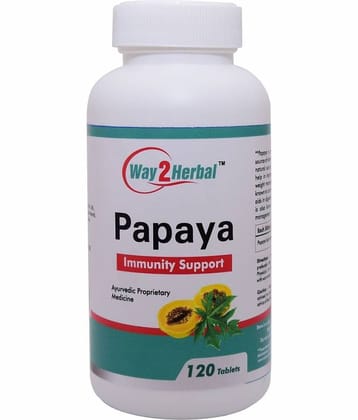 Way2Herbal Papaya Tablet 120 No.S Pack of 1