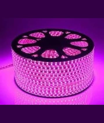 SPARKWORLD Pink 5M LED Strip ( Pack of 1 )