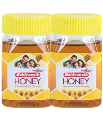 Baidyanath Pure Honey 250Gm (Pack of 2)