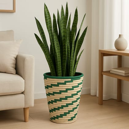 Verdura Tiger Grass Conical Planter