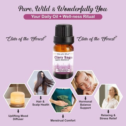 Elixir of the Forest Clary Sage Oil | 15 ml | Hormone Harmony Blend | Daily Balance Routine