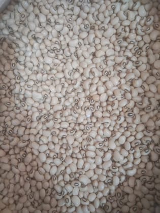 Lobia loose Lobia loose