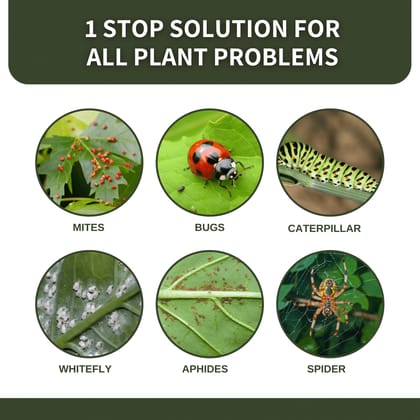 REPL™ Herbal Neem Oil Spray | Natural Insect Repellent for Plants | Repels Fungus, Mites, Flies, Aphids | 500 ml-pack of 1