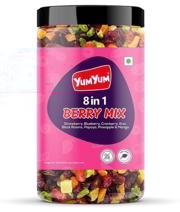 YUM YUM Dried Berry Mix 400g - Cranberries, Raisins, Strawberries, Blueberry, Kiwi, Papaya, Pineapple, Mango