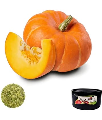 Jignisha Seeds Pumpkin Vegetable ( 10 Seeds )