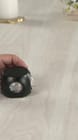 ... ...