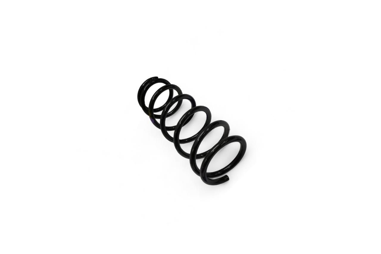 Monroe Front Coil Spring AV688833