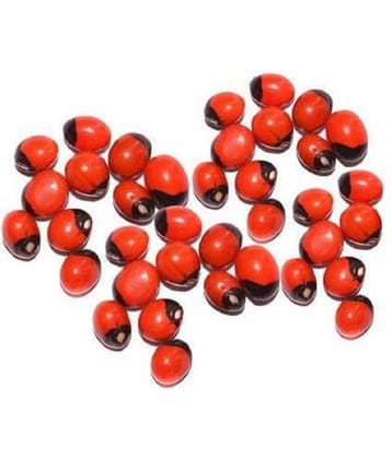 Astrodidi Red Gunja Seeds For Maa Lakshmi Pooja Seed (31 Pieces)