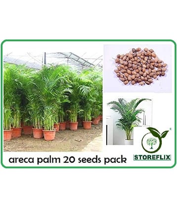 ARECA PALM AIRPURIFYING PLANT 20 seeds pack with free cocopeat soil and user manual
