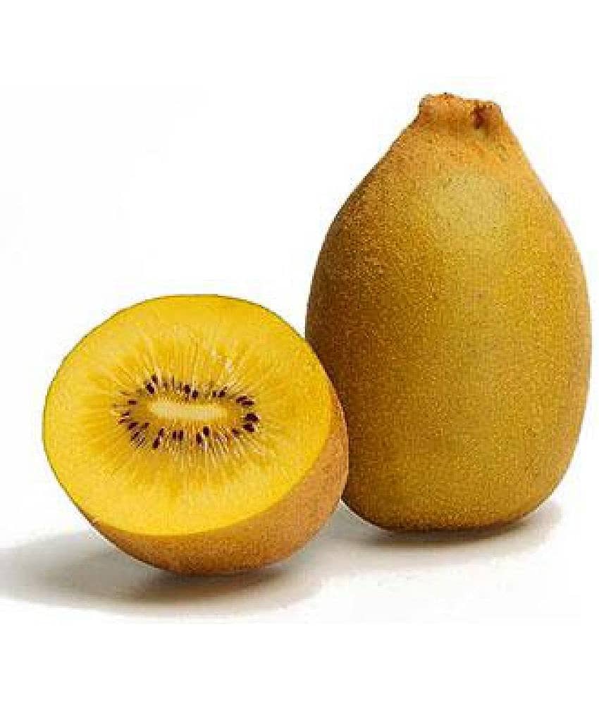 National Gardens Golden Kiwi Fruit Fruit Seeds