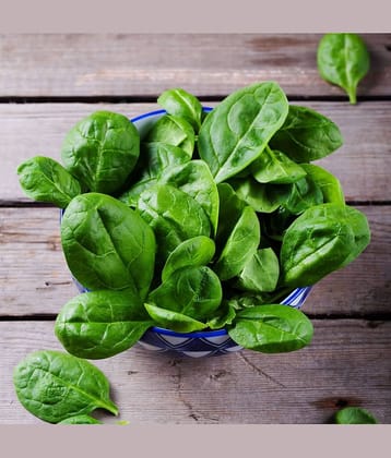 Jignisha Seeds Hybrid Palak Vegetable ( 200 Seeds )