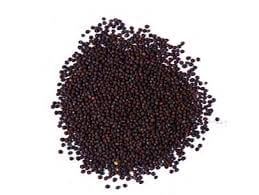 Mustard Seeds- Rai- Sarson 50 GRAM