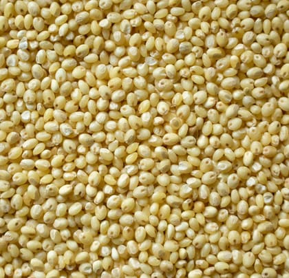 Panivaragu / Proso Millet 500 gm