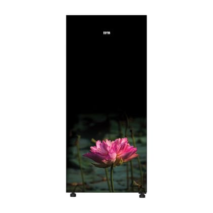 IFB 206 L Direct Cool Single Door 5 Star Refrigerator with Powered by E-Tech, with Extraordinary Storage (Advance-Cool IFBDC-2325ILG) IFB 206 L Direct Cool Single Door 5 Star Refrigerator with Powered by E-Tech, with Extraordinary Storage (Advance-Cool I