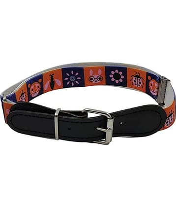 Zacharias Boy's Stretchable Printed Belt for kids (Multicolor_1-6 Years)