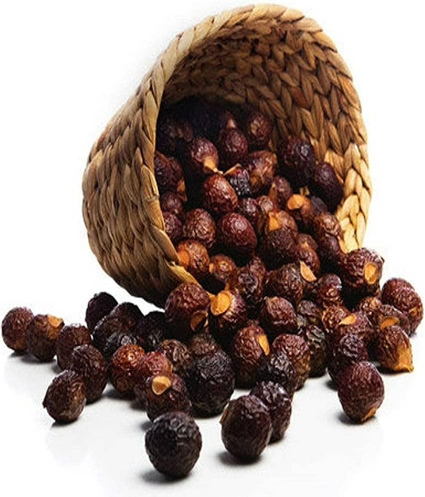 MYGODGIFT Organic Whole Dried Reetha/Ritha/Arith/Areetha Raw Form For Hairs 100 gm