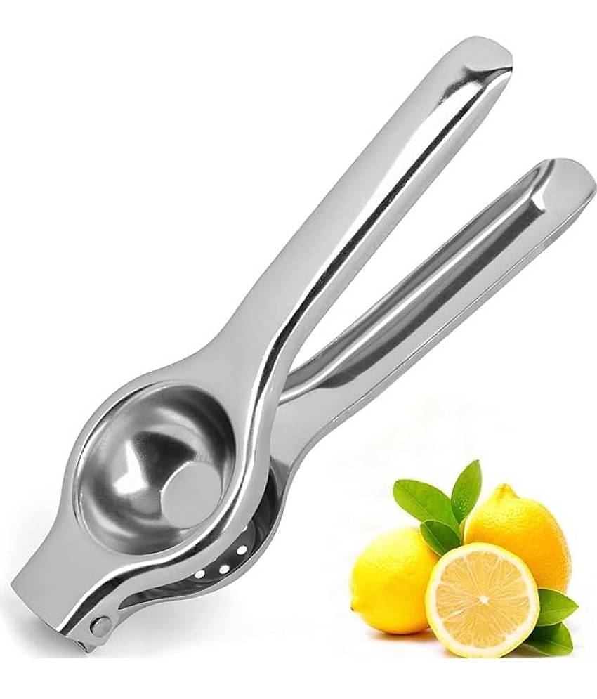 Dynore Stainless Steel Silver Squeezer ( Pack of 1 )