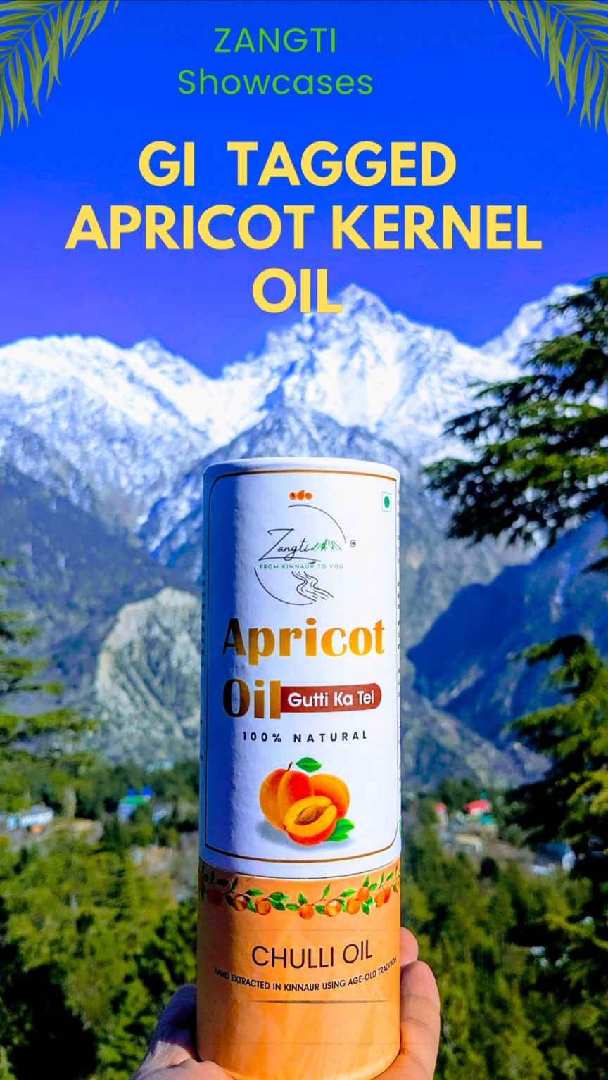 Apricot Kernel Oil ( Chulli Oil or Gutti Ka Tel )