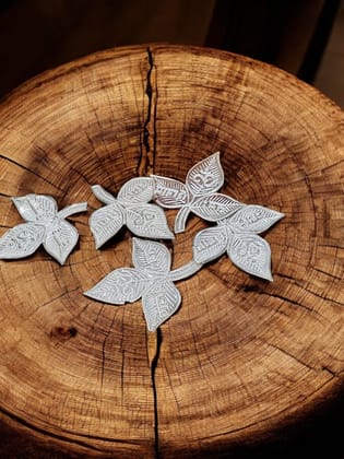 Silver Bel Patra (5 -11 Leaves)-Extra Small (11 Leaves)