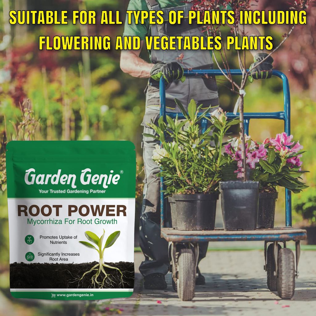 Garden Genie Root Power VAM Mycorrhiza Biofertilizer 800g - Root Stimulant Growth Booster and Development Fertilizer for Plants, Granules