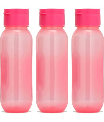 Generic Claro Mini Blue Water Bottle 500 ML mL ( Set of 3 )