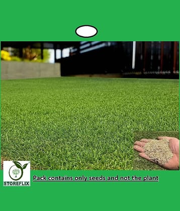 STOREFLIX Bermuda Green Grass ( 2000 Seeds )