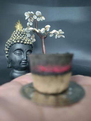 Gaukosh Pure Herbal Filled CowDung Sambrani Dhoop Cups for Pooja (80 pcs) | Havan Cups for Pooja, Home & Festivals | Natural Guggal/Loban Dhoop Original | Dhoop Cones